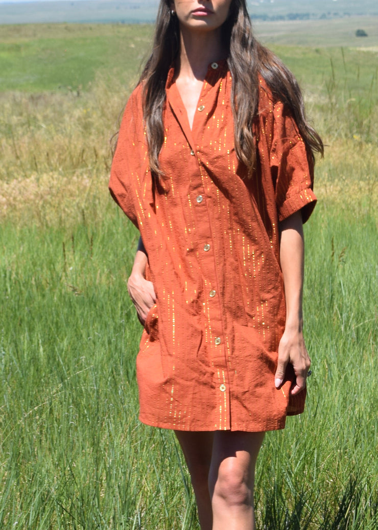 Elastic Sleeve Dress Rust Pin Stripe