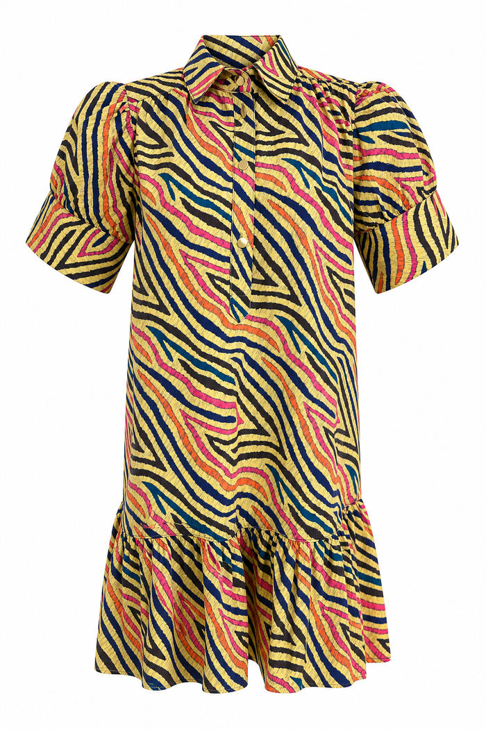 Everything Short Sleeve Dress Zebra