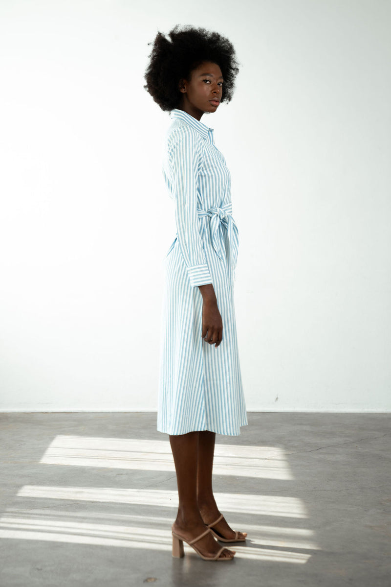 Sasha Shirt Dress Blue Stripe