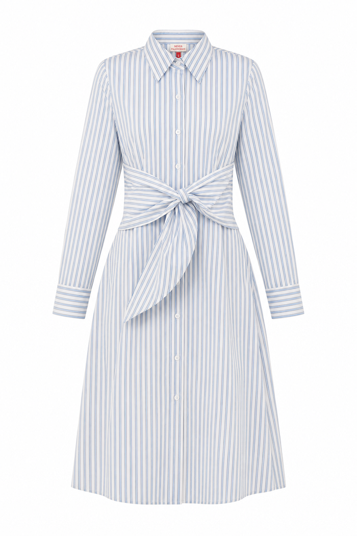 Sasha Shirt Dress Blue Stripe