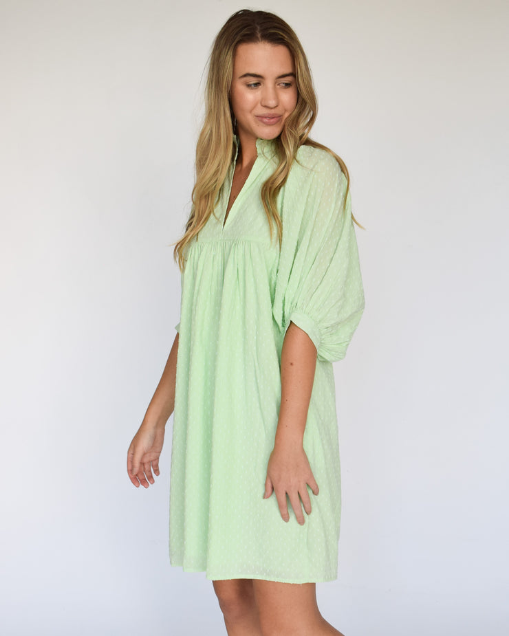 Mint Swiss Dot High Neck Dress